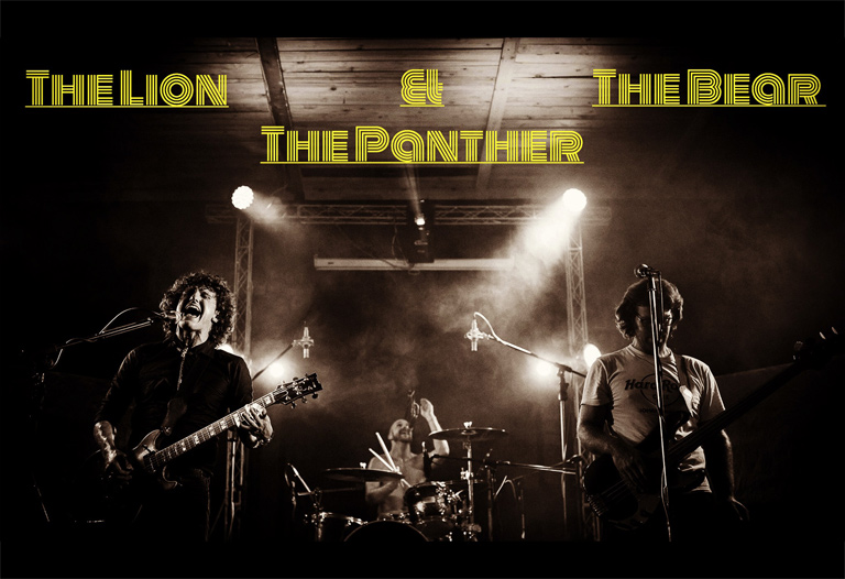 lion bear panther 1