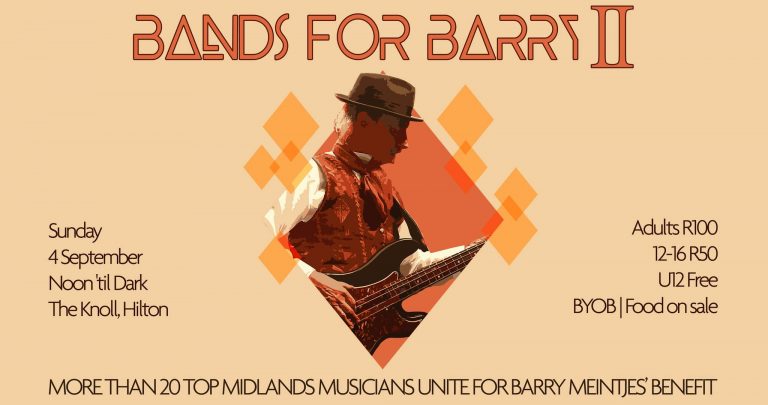 Bands For Barry 2 768x405